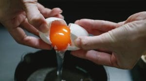 Tentakel Onvergetelijk Wonen Eidooier, het beste deel van het ei, rijk aan vitaminen en..